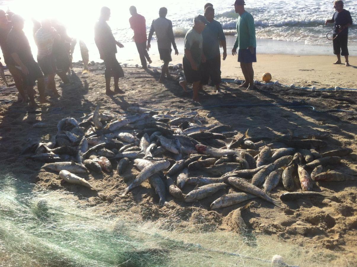 Deixe A Energia Fluir E Contaminar Suas Ferias. Daire Florianópolis Dış mekan fotoğraf